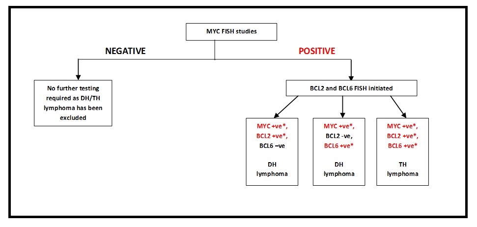 MYC FISH Chart